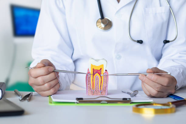 Best Emergency Wisdom Tooth Extraction in Waynesboro, PA